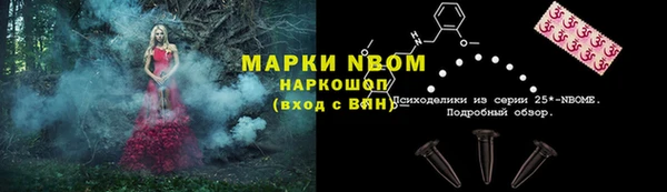 сатива Алексеевка