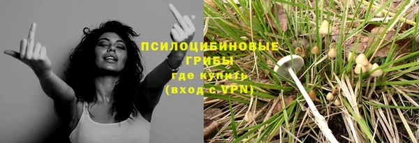 сатива Алексеевка