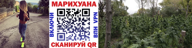МАРИХУАНА гибрид  Фурманов 